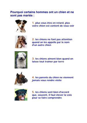 Les chiens mg4mlm - Eugenol