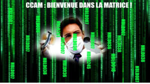 Matri1 ngpnec - Eugenol