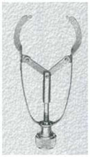 Matrice isdlpy - Eugenol