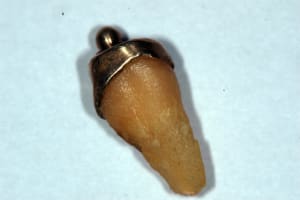 Micro xsvhvx - Eugenol
