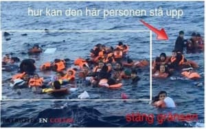 Migrants j9k1ff - Eugenol