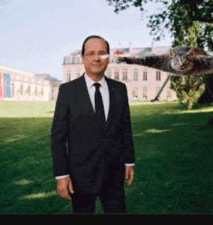 Mirza k58wzh - Eugenol