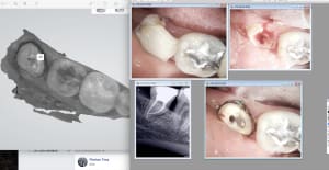 Negx6nhfcgzxrk5zw7r3 - Eugenol