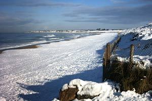Neige muriw9 - Eugenol