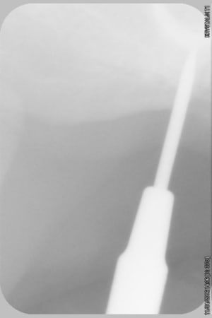 O f6fc3ac844f60066 0 vtcyej - Eugenol