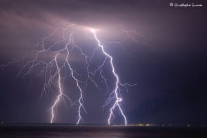 Orage yfht9p - Eugenol