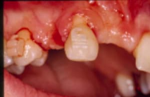 Orto imp 1 uejdvr - Eugenol