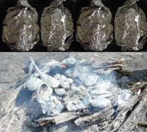 Papillotes d2d048 - Eugenol