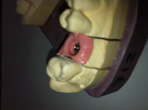 Photo 2 ubkgtu - Eugenol