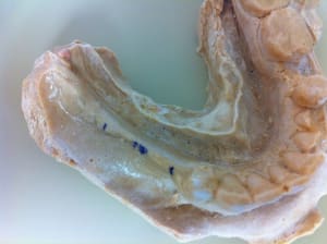 Photo 2 wtlrho - Eugenol