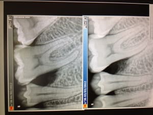 Photo z5iqtj - Eugenol