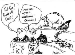 Poulailler s8hl8u - Eugenol