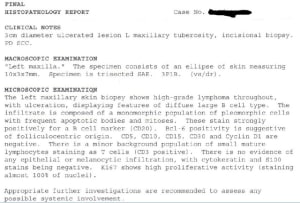 Report 1 kxxc48 - Eugenol