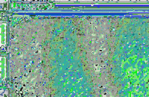 Rulebritania nweeml - Eugenol