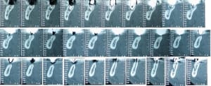 Scan bas droit kw0jy2 - Eugenol