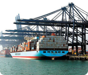 Szinfo j0z0ci - Eugenol