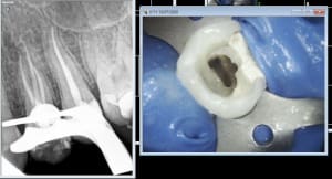 U682rifbnek60wmu791yye7gxfxy - Eugenol