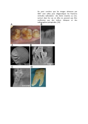 Viewer bdcgrp - Eugenol
