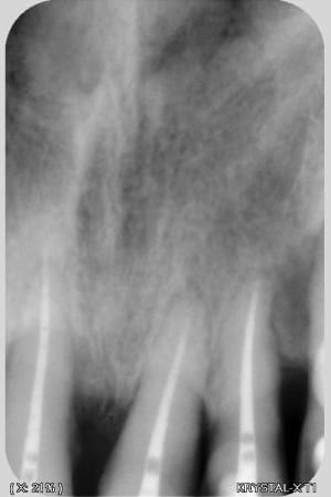 Wehhiywk7g2v5jkrasdo5gb102k5 - Eugenol