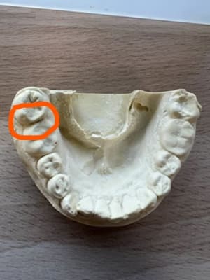 Xoan1iw510xdro8ydce7ml0zdg1v - Eugenol