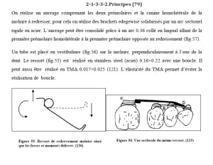 Zi5qlv0caxwqtfalu28pe1k9jlbe - Eugenol