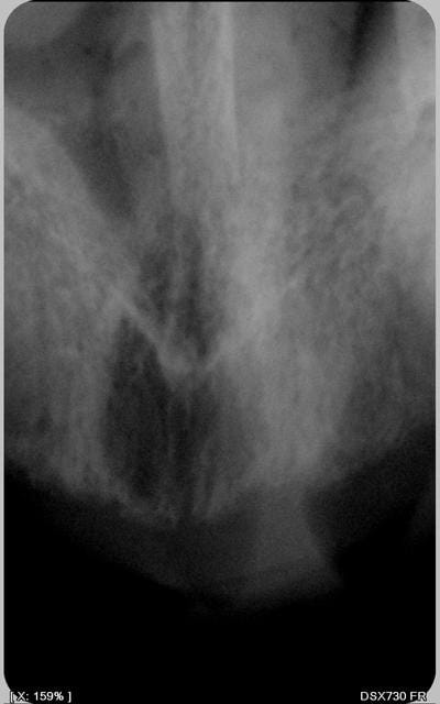 001 h9u2s3 - Eugenol