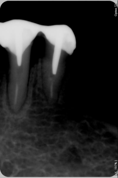 002 dcohbq - Eugenol