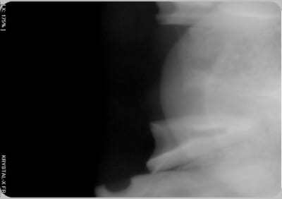 004 mnrjfb - Eugenol