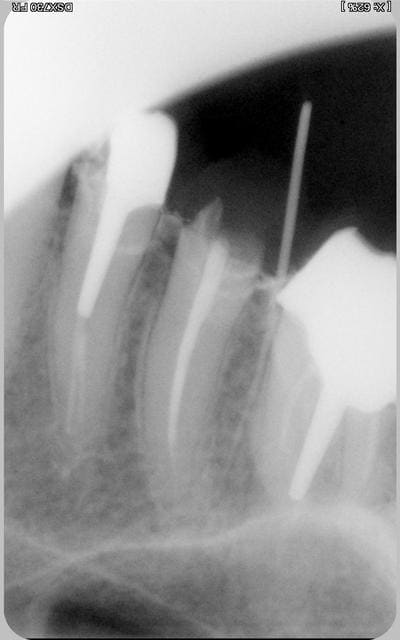 022 huf6u2 - Eugenol