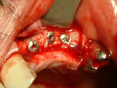 04051303 mpzuoq - Eugenol