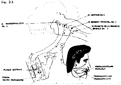 050710 jeanmonod 23 sxr6qq - Eugenol