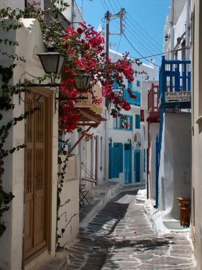 089 hh3aqw - Eugenol