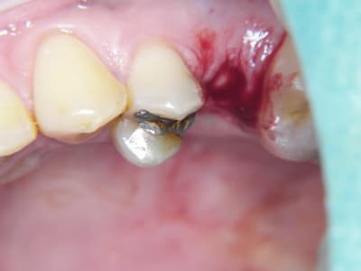 100 6431 zhavu9 - Eugenol