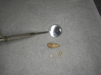 100 9350 p0pkxj - Eugenol