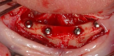 2015 11 5 6 o9uppn - Eugenol