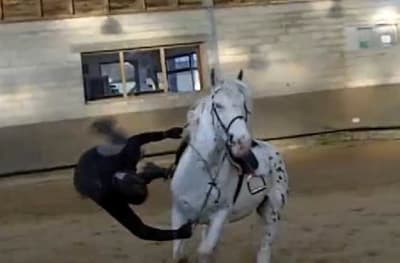 24 05 2010 02 qxstue - Eugenol