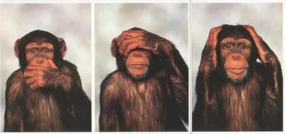 3singes sagesse 1  zlfqcn - Eugenol