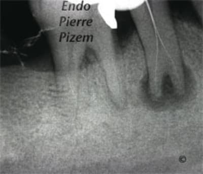 487445b uqqcqz - Eugenol