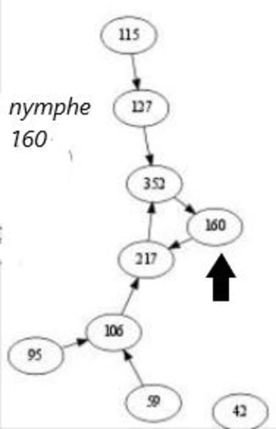 5fmhh7w5ta11vzqp6aw9sukj6ol8 - Eugenol