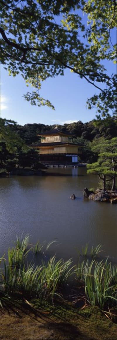 617 2008 08 kyoto pavillon or u5vgaa - Eugenol