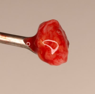 6 extraction  2  emc1ud - Eugenol