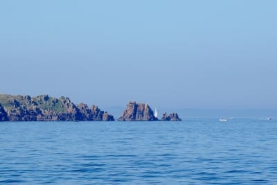 7463 6 r0opei - Eugenol