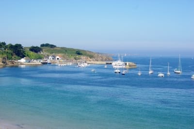 7498 6 s2bmxj - Eugenol