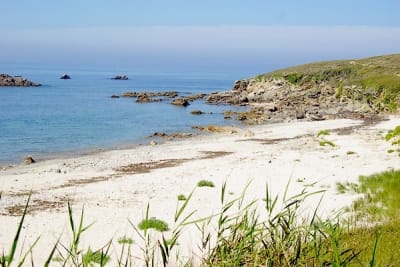 7623 6 hgsvpm - Eugenol