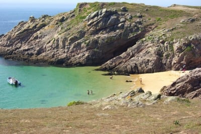 7855 6 wq4mxy - Eugenol