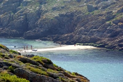 8019 6 hdr01g - Eugenol