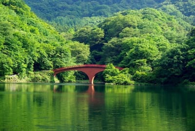 Aky  8  ivpvdf - Eugenol