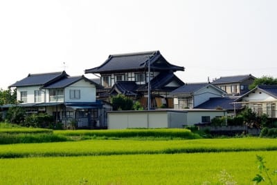 Bkg  9  iqwxrf - Eugenol