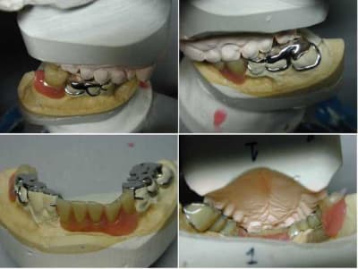 Bamix2 unev0a - Eugenol