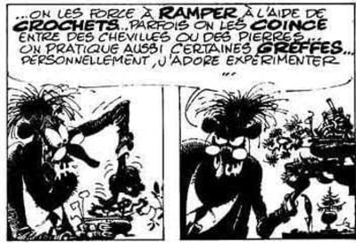 Bonsai bd id e noir7 gqthof - Eugenol